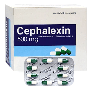 cephalexin