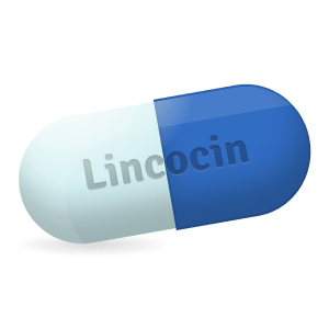 lincocin