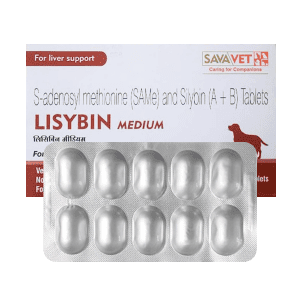vet-lisybin-medium