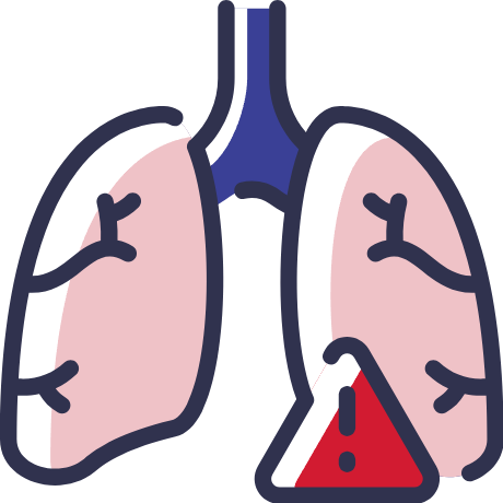 Respiratory Tract Respiratory Tract