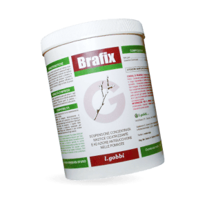 brafix-1
