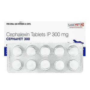 vet-cephavet-1